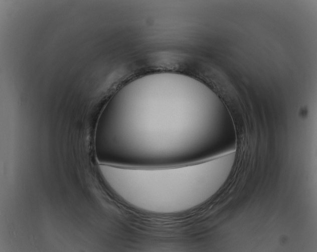 X0000093730600200710160815