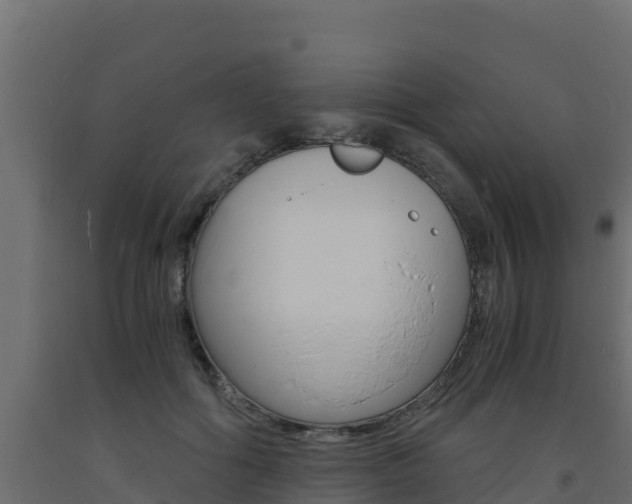 X0000093730602200710160815