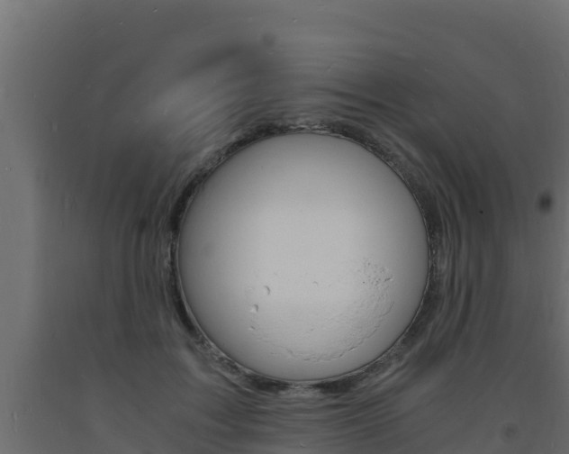 X0000093730603200710160815