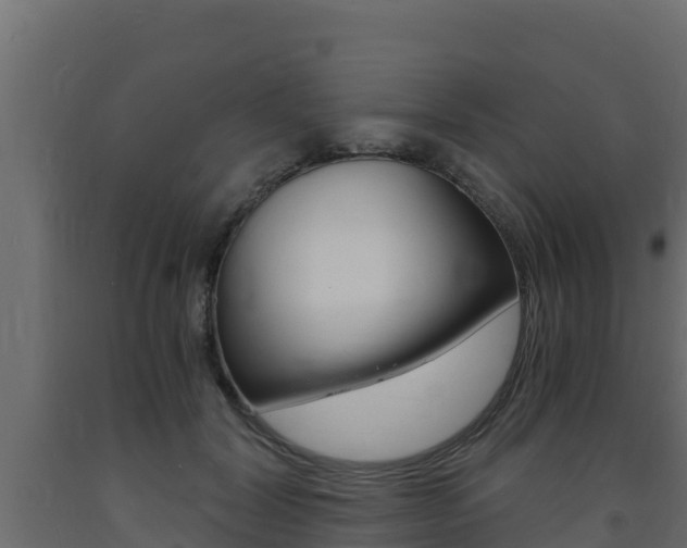 X0000093730604200710160815