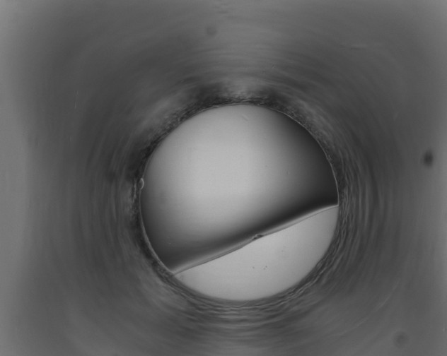 X0000093730605200710160815