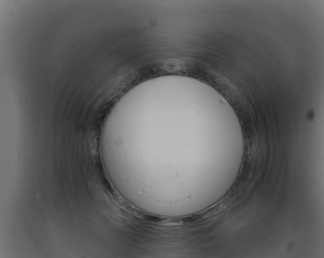 X0000093730606200710160815