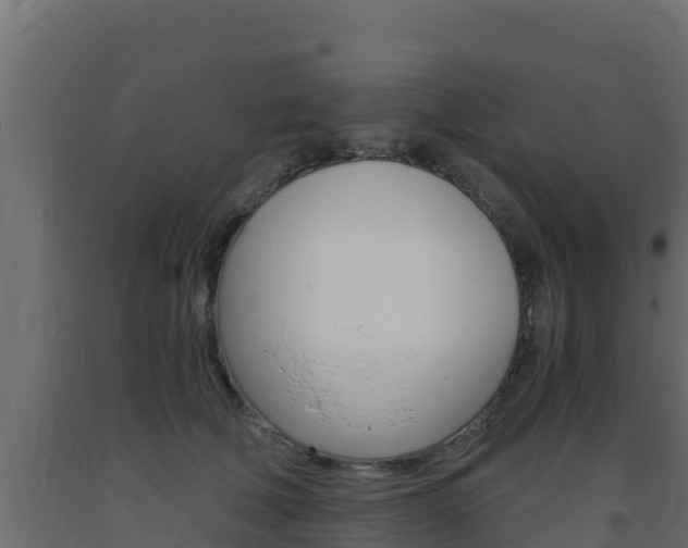 X0000093730610200710160815