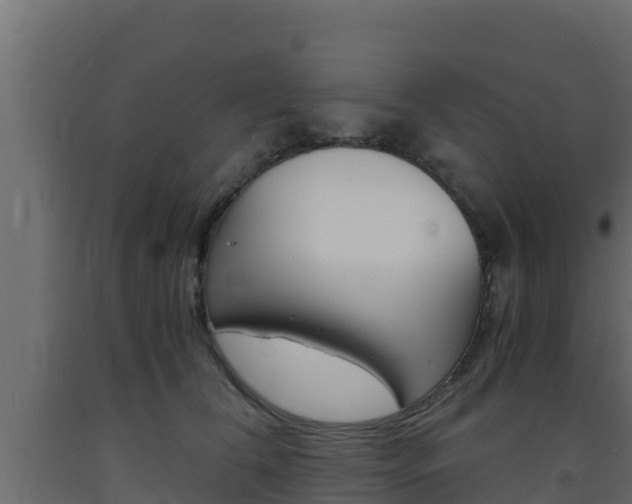 X0000093730612200710160815