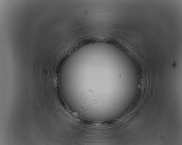 X0000093730613200710160815