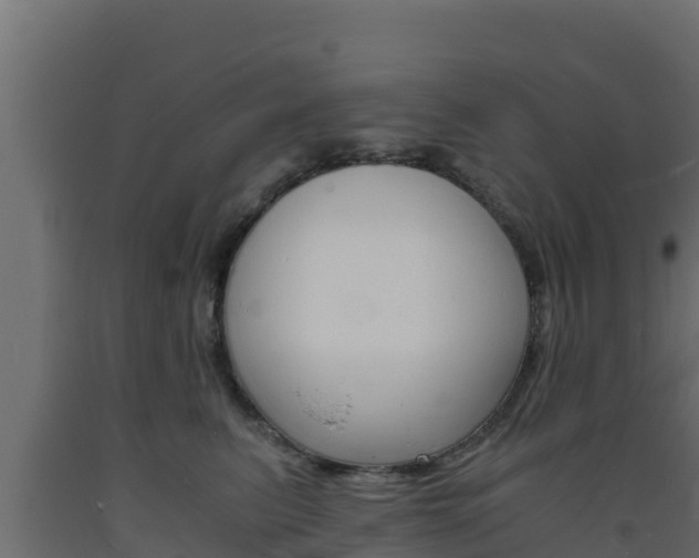 X0000093730615200710160815