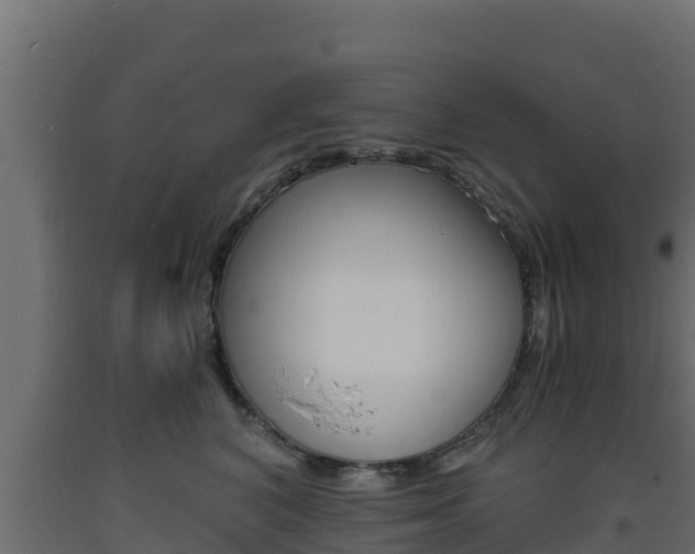 X0000093730616200710160815
