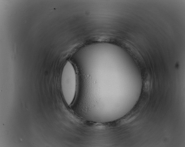 X0000093730620200710160815