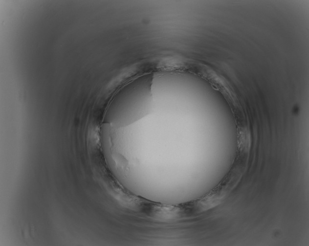 X0000093730621200710160815