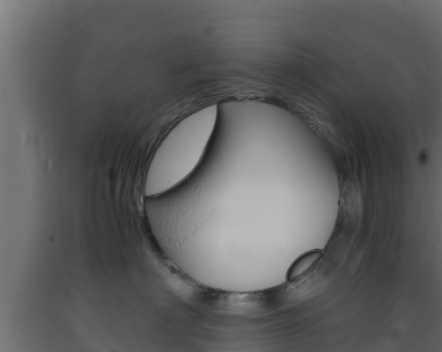 X0000093730622200710160815