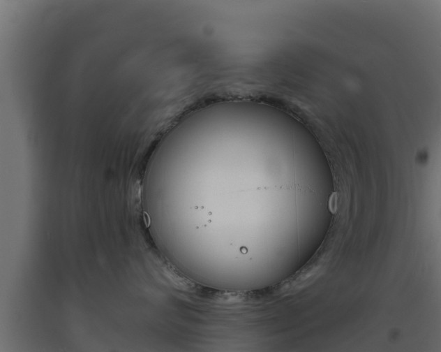 X0000093730624200710160815