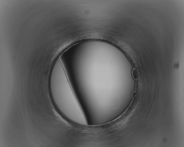 X0000093730625200710160814