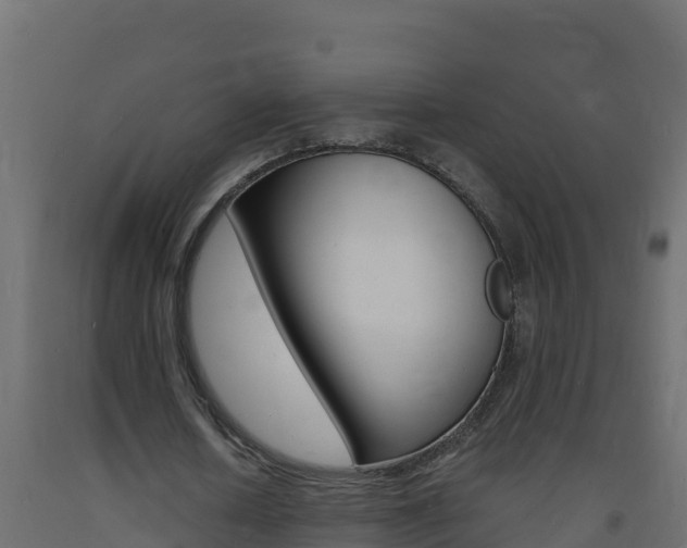 X0000093730626200710160814