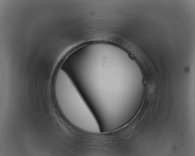 X0000093730628200710160814