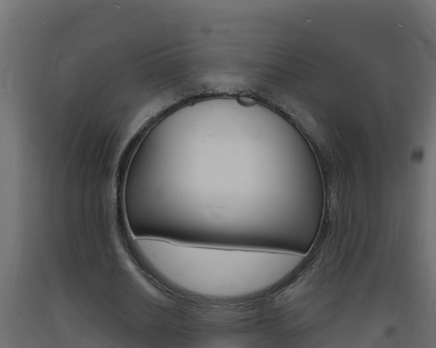 X0000093730630200710160814