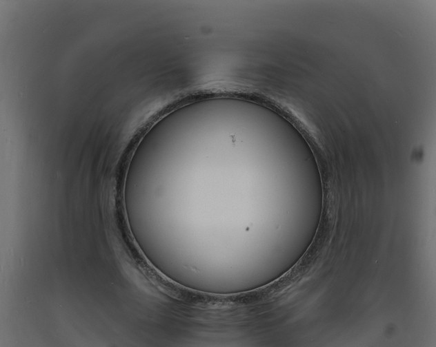 X0000093730631200710160814
