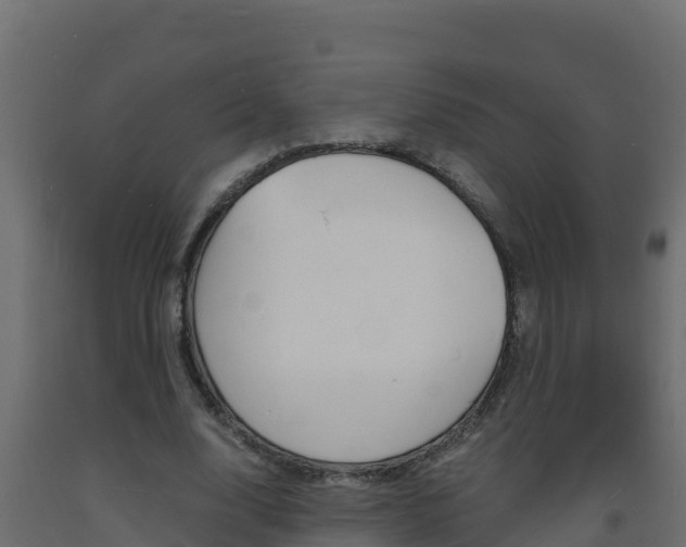 X0000093730632200710160814