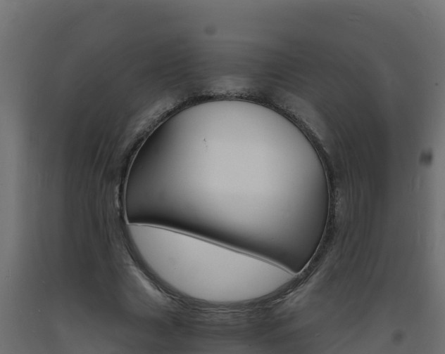 X0000093730633200710160814