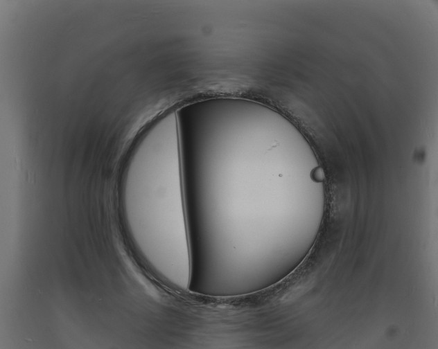 X0000093730634200710160814