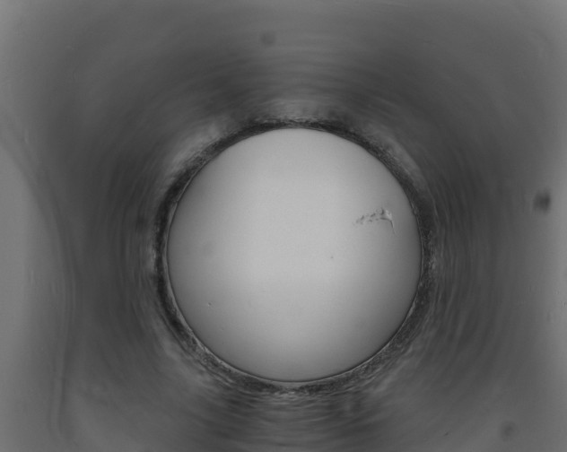 X0000093730635200710160814