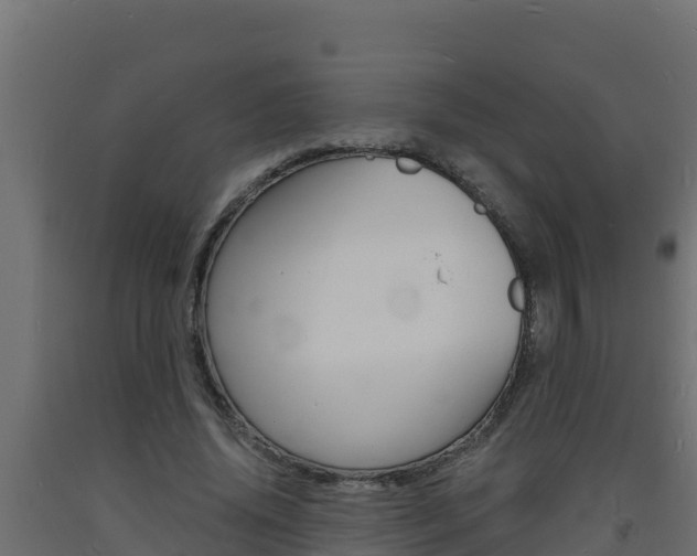X0000093730636200710160814