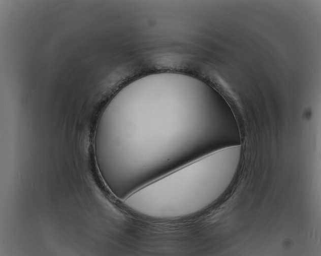 X0000093730637200710160814