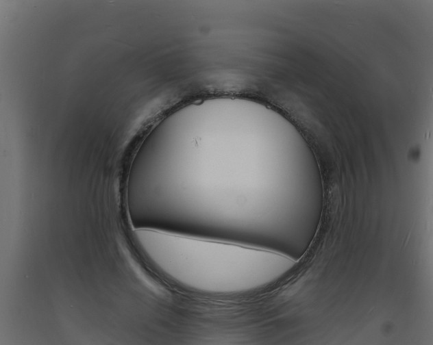 X0000093730638200710160814