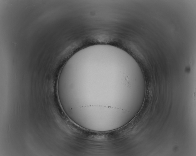 X0000093730639200710160814