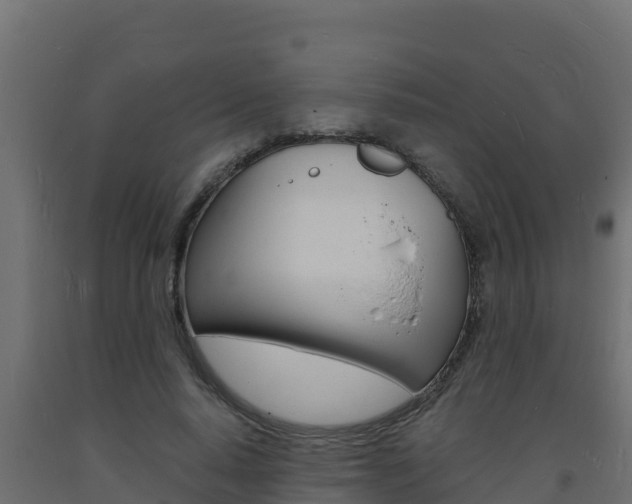 X0000093730640200710160814