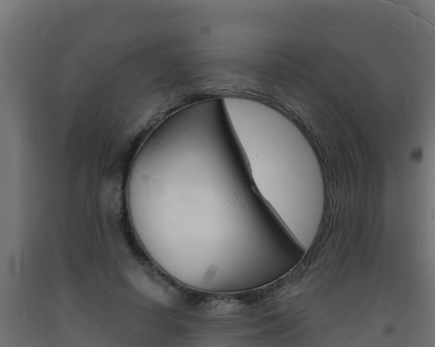 X0000093730642200710160814