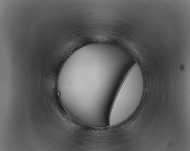 X0000093730645200710160814