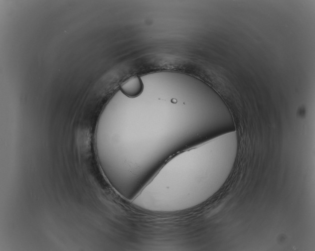 X0000093730646200710160814