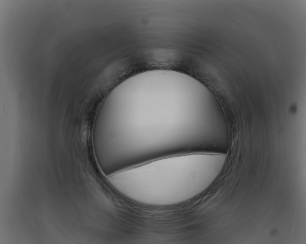 X0000093730647200710160814
