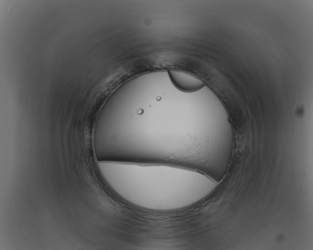 X0000093730648200710160814