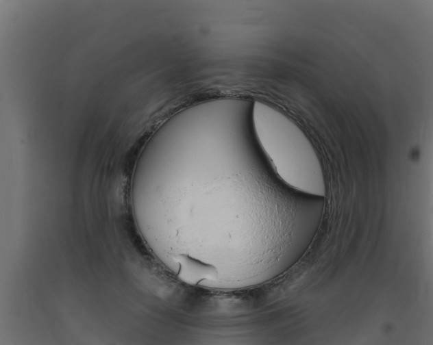 X0000093730650200710160814