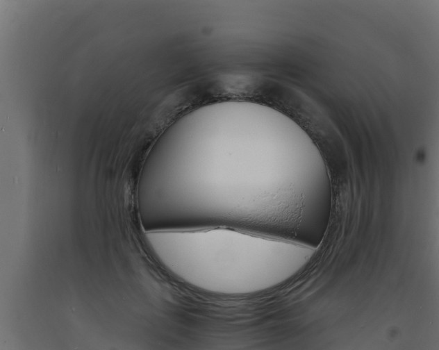 X0000093730651200710160814