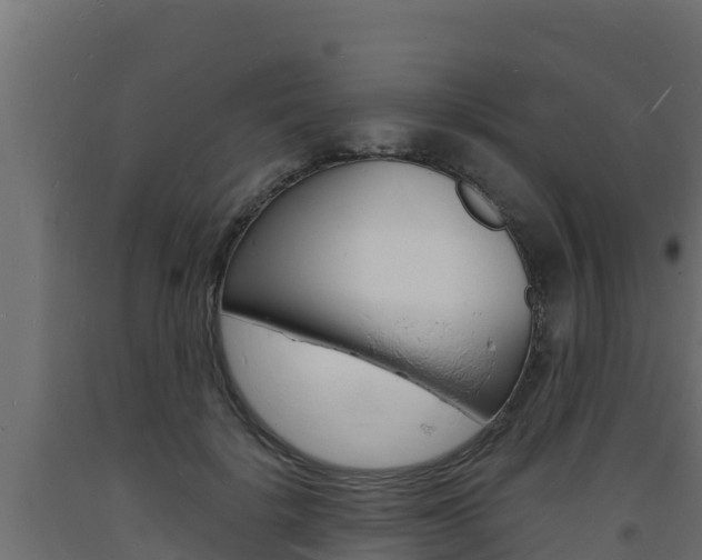 X0000093730652200710160814