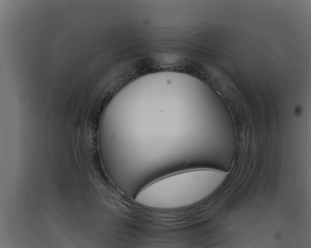 X0000093730653200710160814