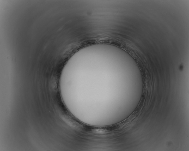 X0000093730654200710160814