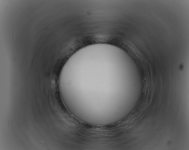 X0000093730655200710160815