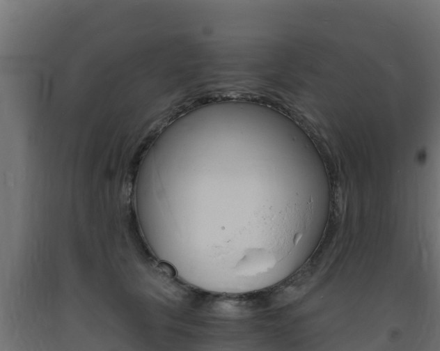 X0000093730657200710160815