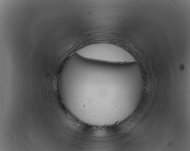 X0000093730658200710160815