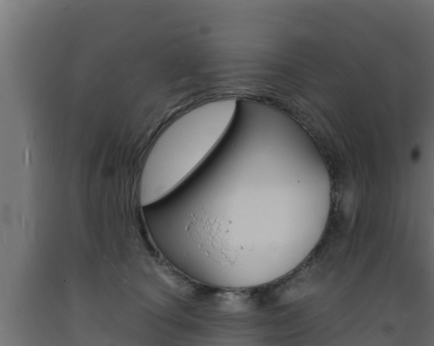 X0000093730660200710160815