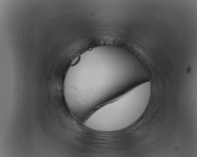X0000093730661200710160815