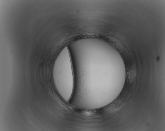 X0000093730662200710160815