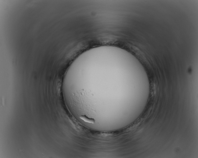 X0000093730664200710160815