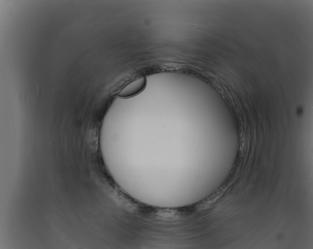 X0000093730666200710160815