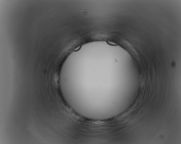 X0000093730669200710160815