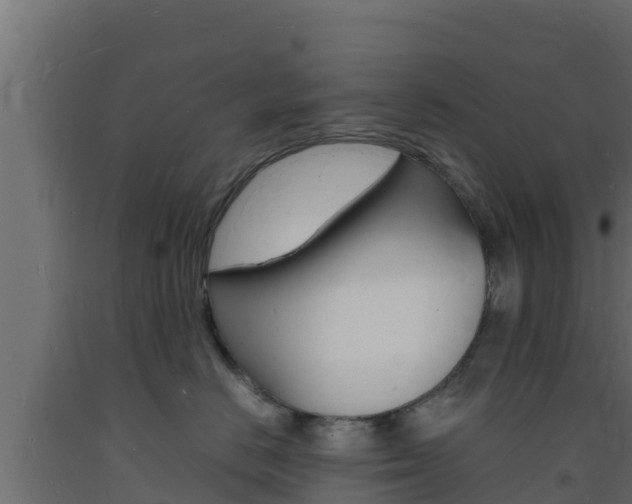 X0000093730670200710160815