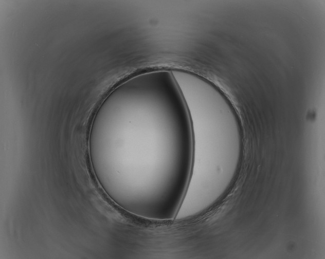 X0000093730673200710160814